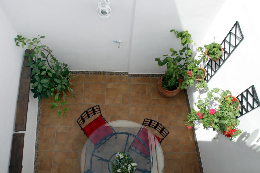 Apartamentos San Fernando 76 コルドバ エクステリア 写真